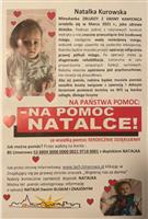 Pokaż zdjęcie w powiększeniu Gołębie zdjęcie