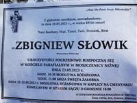 Pokaż zdjęcie w powiększeniu Gołębie zdjęcie
