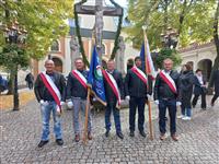 Pokaż zdjęcie w powiększeniu Gołębie zdjęcie
