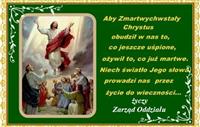Pokaż zdjęcie w powiększeniu Gołębie zdjęcie