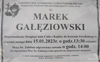 Pokaż zdjęcie w powiększeniu Gołębie zdjęcie