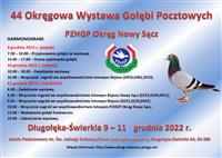 Pokaż zdjęcie w powiększeniu Gołębie zdjęcie
